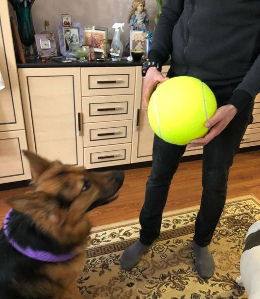 Large 8.5 inch (21.5 cm) yellow tennis ball, ideal for pet play or dog training. - Image 32