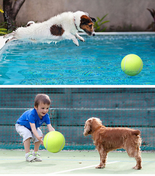 Large 8.5 inch (21.5 cm) yellow tennis ball, ideal for pet play or dog training. - Image 33