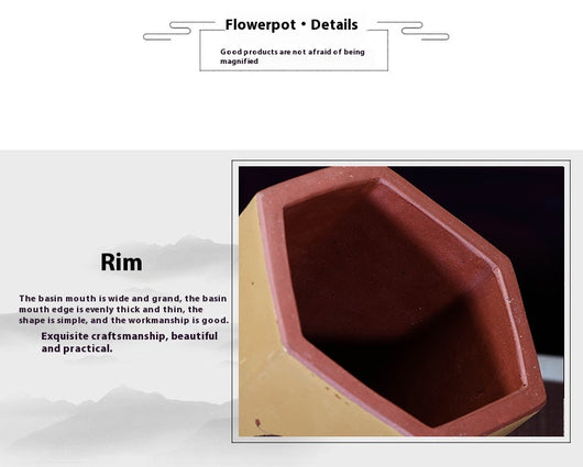 Maceta Hexagonal de Arena Púrpura con Flores para Suculentas y Plantas de Escritorio - Image 18
