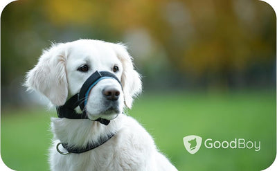 Bozal Transpirable para Perros - Múltiples Talles Anti-Ladridos - Image 13