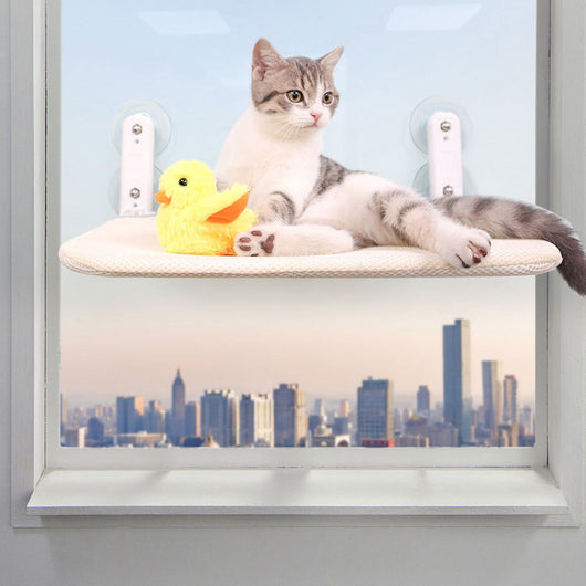 Hamaca Felina para Ventana con Ventosas - Uso Todo el Año - Image 10