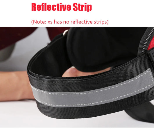 Arnés Reflectante Personalizado para Perros sin Tirón - Ajustable y Transpirable - Image 33