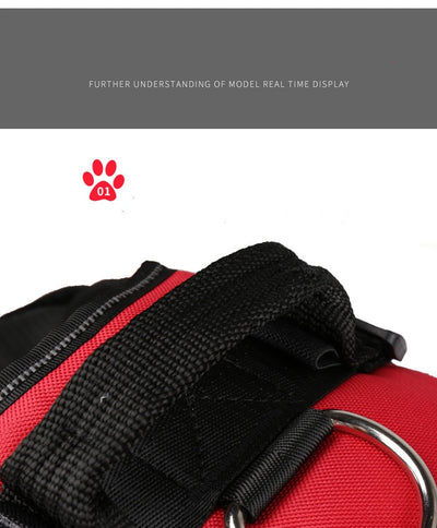 Arnés Reflectante Personalizado para Perros sin Tirón - Ajustable y Transpirable - Image 36