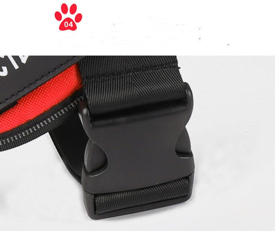 Arnés Reflectante Personalizado para Perros sin Tirón - Ajustable y Transpirable - Image 37