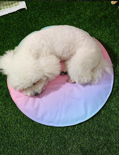 Colchoneta Refrescante para Perros - Mat de Gel para Verano - Image 19