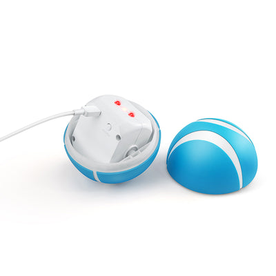 Pink wireless smart remote control pet toy with a white stripe and LED flashing lights. - Image 14