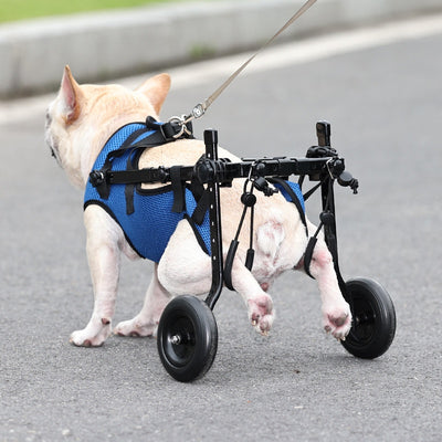 Silla de Ruedas para Perros Discapacitados - Image 17
