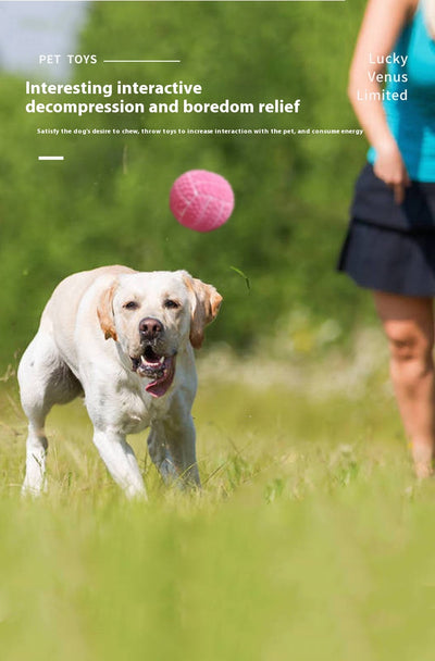 Pink latex pet toy shaped like a mini volleyball with white seams and a textured surface. - Image 15