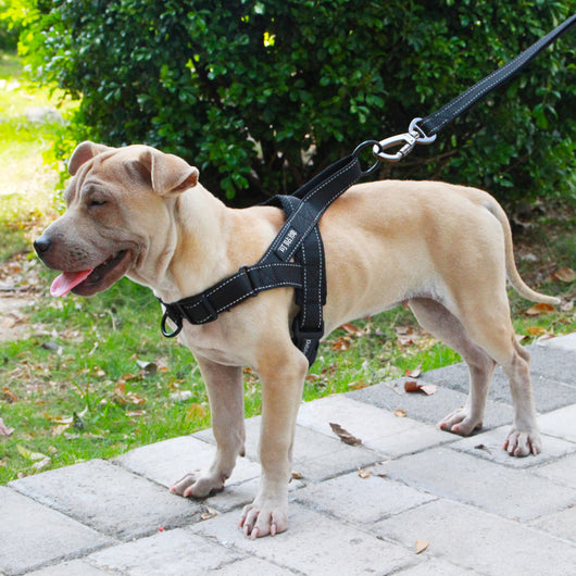 Arnés de Pecho para Perro Talla Grande, Mediana y Pequeña - Chaleco de Tracción para Mascotas - Image 9