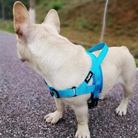 Arnés de Pecho para Perro Talla Grande, Mediana y Pequeña - Chaleco de Tracción para Mascotas - Image 11