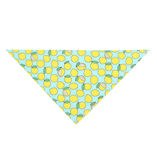 Toalla Absorbente Triangular para Perros - Diseño Frutal Verano - Image 28