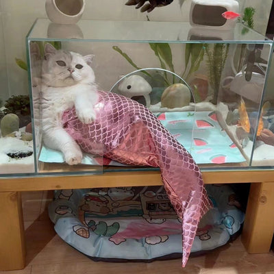 Cola de Sirena para Gatos - Decoración Fishtail - Image 14