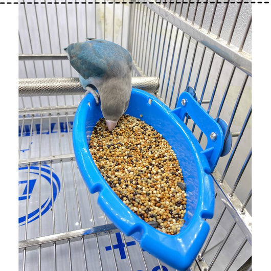 Comedero y Baño Multifuncional para Aves - Image 15