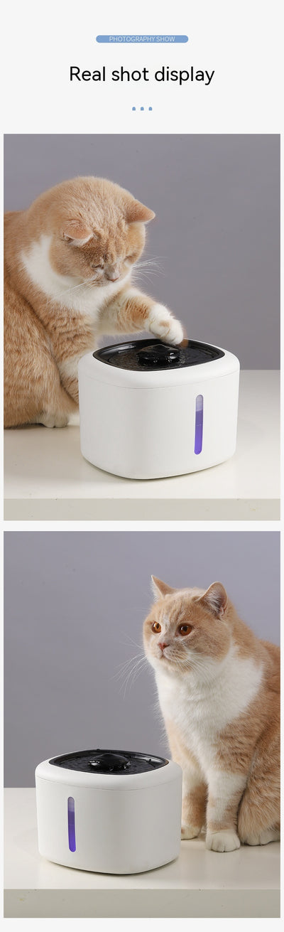 Bebedero Automático Inteligente para Mascotas con Circulación Continua - Image 49