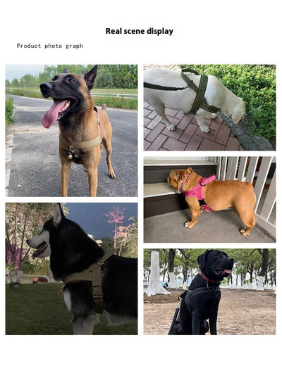 Chaleco Arnés de Pecho para Perros Medianos y Grandes con Correa de Mano - Image 21