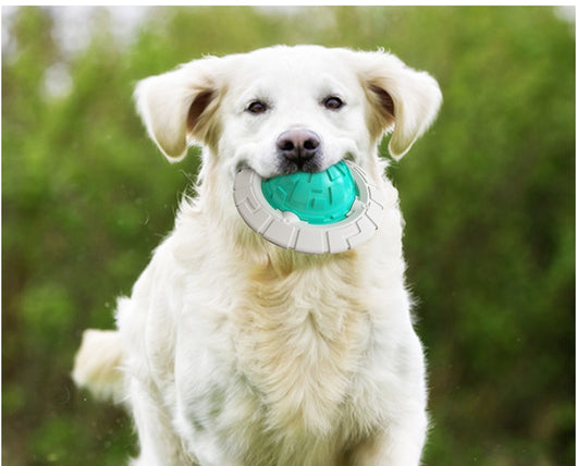Green and white plastic dog toy with a textured ball center and a flat ring, designed for teeth grinding and sound interaction. - Image 10