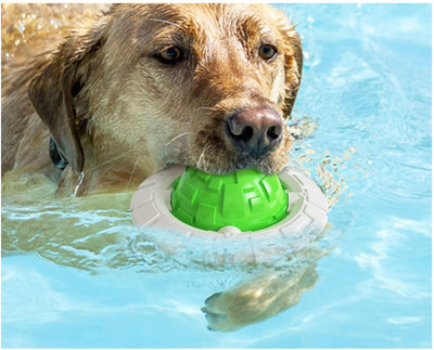Green and white plastic dog toy with a textured ball center and a flat ring, designed for teeth grinding and sound interaction. - Image 11