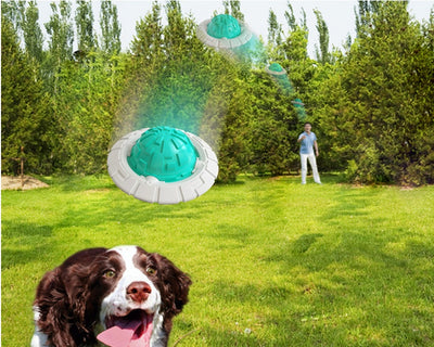 Green and white plastic dog toy with a textured ball center and a flat ring, designed for teeth grinding and sound interaction. - Image 12