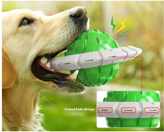 Green and white plastic dog toy with a textured ball center and a flat ring, designed for teeth grinding and sound interaction. - Image 13