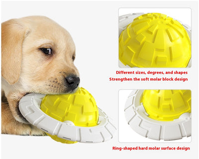 Green and white plastic dog toy with a textured ball center and a flat ring, designed for teeth grinding and sound interaction. - Image 14