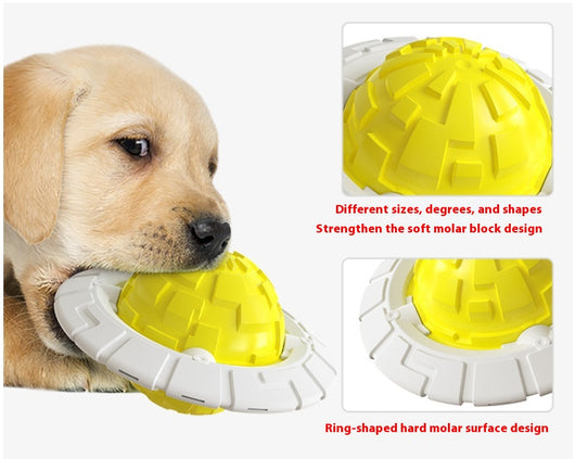 Green and white plastic dog toy with a textured ball center and a flat ring, designed for teeth grinding and sound interaction. - Image 14