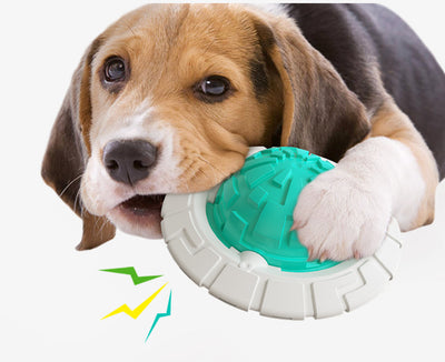 Green and white plastic dog toy with a textured ball center and a flat ring, designed for teeth grinding and sound interaction. - Image 15