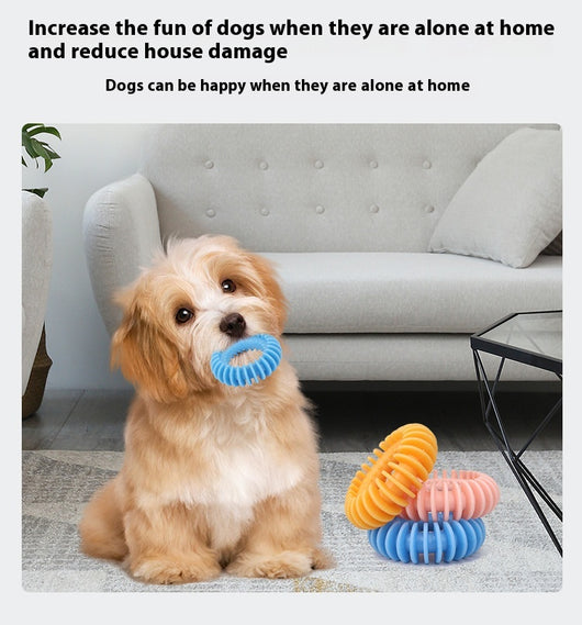 Juguete Dental Resistente para Perros - Limpieza y Mordida - Image 12