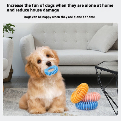 Juguete Dental Resistente para Perros - Limpieza y Mordida - Image 14