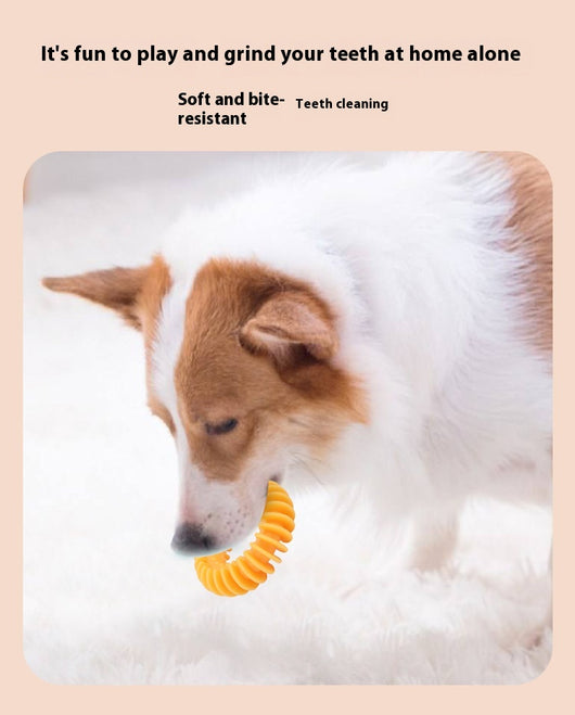 Juguete Dental Resistente para Perros - Limpieza y Mordida - Image 17