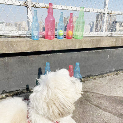Translucent blue pet molar toy shaped like a bottle, featuring embossed paw prints and the word "DOG". - Image 18