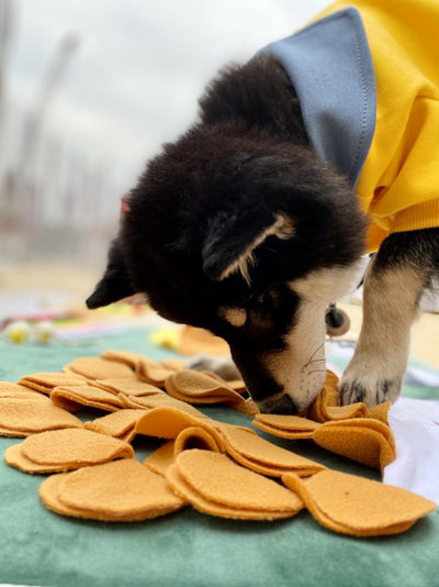Juguete Interactivo para Perros - Puzzle de Entrenamiento y Entretenimiento - Image 9