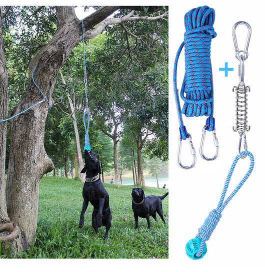 Juguete Interactivo para Perro de Acero Inoxidable con Suspensión por Resorte - Image 43
