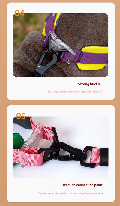 Collar Bandana Ajustable para Gatos - Diseño sin Presión en el Cuello - Image 17