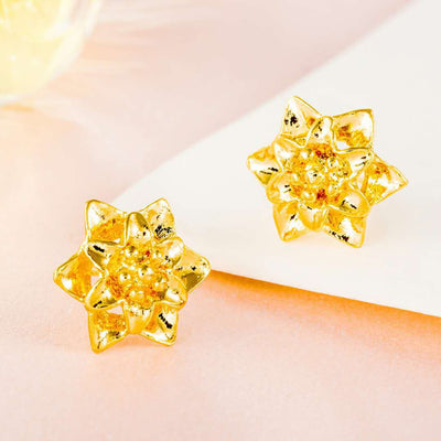 Aretes Chapados en Oro 24K - Joyería Euro Gold Elegante - Image 46