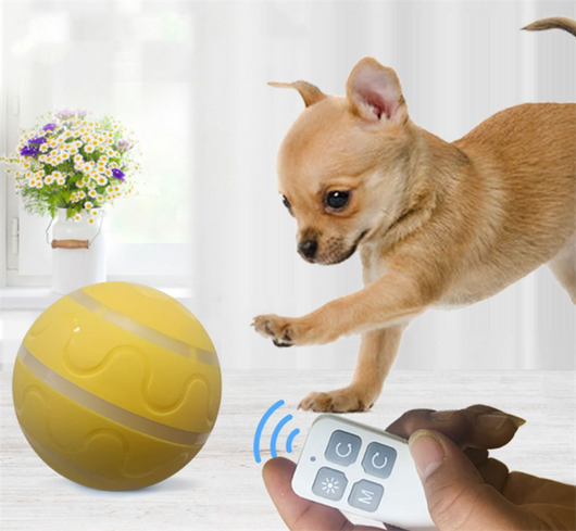 Orange pet wicked ball toy with colorful LED lights and a yellow paw-shaped remote control. - Image 22