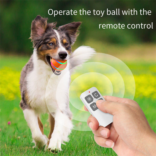 Orange pet wicked ball toy with colorful LED lights and a yellow paw-shaped remote control. - Image 23