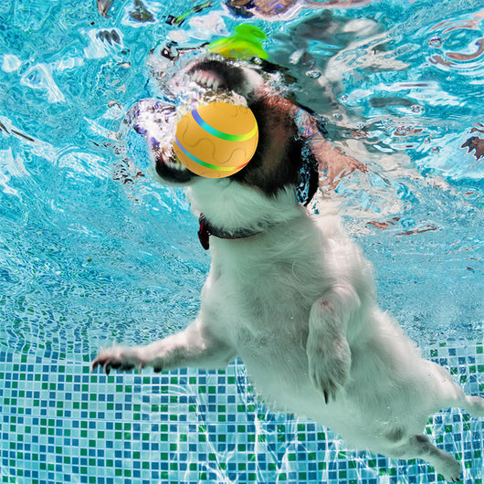 Orange pet wicked ball toy with colorful LED lights and a yellow paw-shaped remote control. - Image 26