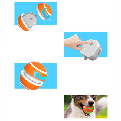 Orange pet wicked ball toy with colorful LED lights and a yellow paw-shaped remote control. - Image 28