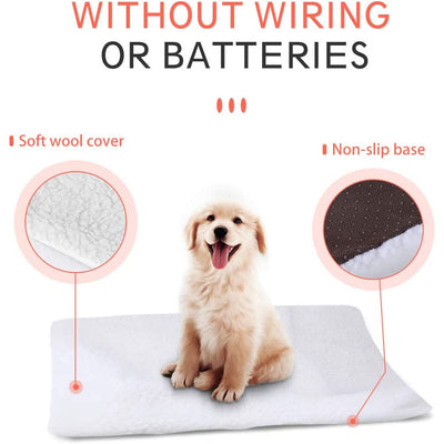 Cama Térmica para Mascotas con Calor Microondas - Cojín Autocalefactable - Image 16