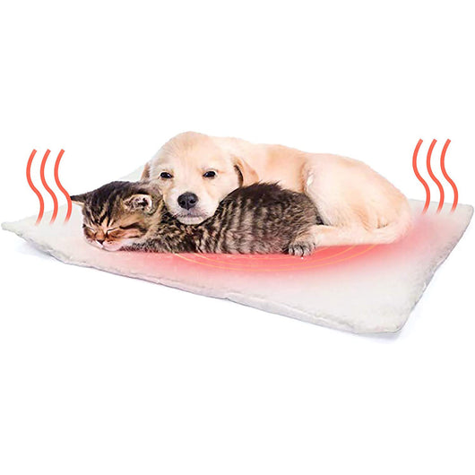 Cama Térmica para Mascotas con Calor Microondas - Cojín Autocalefactable - Image 19