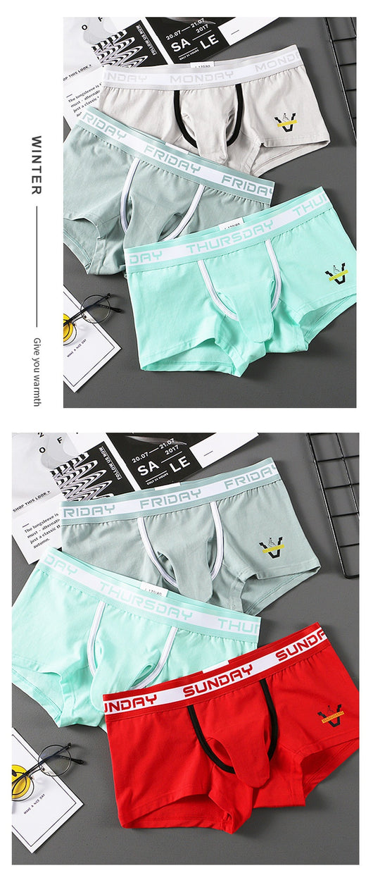 Boxer Briefs de Algodón con Separación de Paquete y Malla Transpirable - Image 19