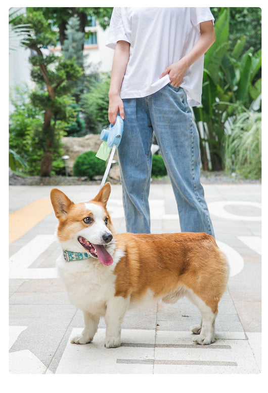 Correa Retráctil para Perros Pequeños y Medianos con Luz LED - Image 15