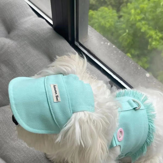 Chaleco Denim Candy Color para Mascotas - Image 15