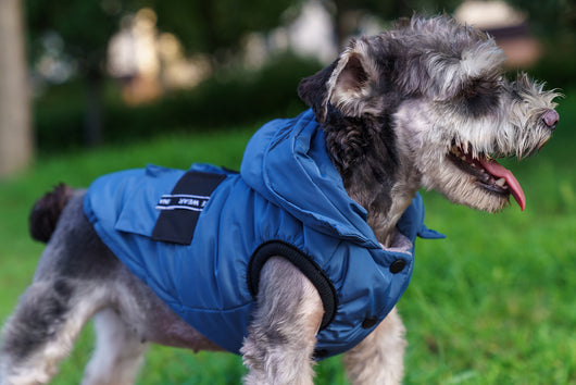 Abrigo Térmico con Capucha para Mascotas - Diseño Acolchado Invierno - Image 19