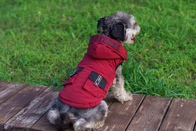 Abrigo Térmico con Capucha para Mascotas - Diseño Acolchado Invierno - Image 21