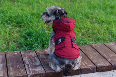 Abrigo Térmico con Capucha para Mascotas - Diseño Acolchado Invierno - Image 22