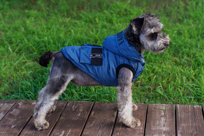 Abrigo Térmico con Capucha para Mascotas - Diseño Acolchado Invierno - Image 23