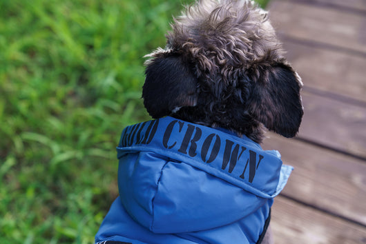 Abrigo Térmico con Capucha para Mascotas - Diseño Acolchado Invierno - Image 24