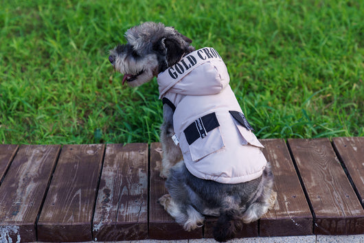 Abrigo Térmico con Capucha para Mascotas - Diseño Acolchado Invierno - Image 26