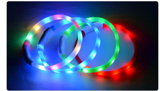 Collar Luminoso para Perros - Prevención de Pérdida - Image 12